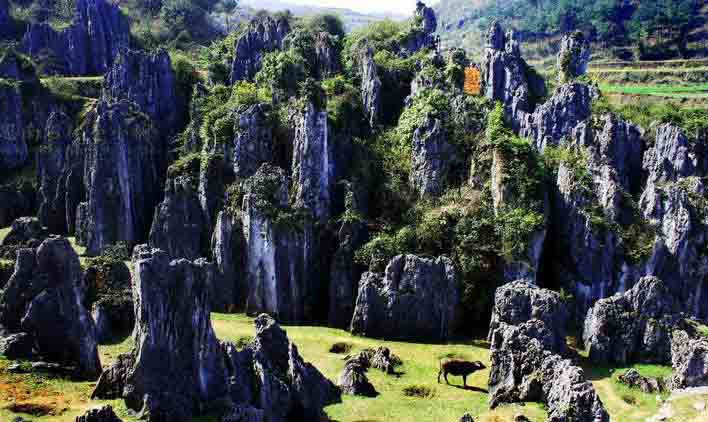 銅仁最美的10大景區(qū)：除了梵凈山之外，還有哪里值得一去？