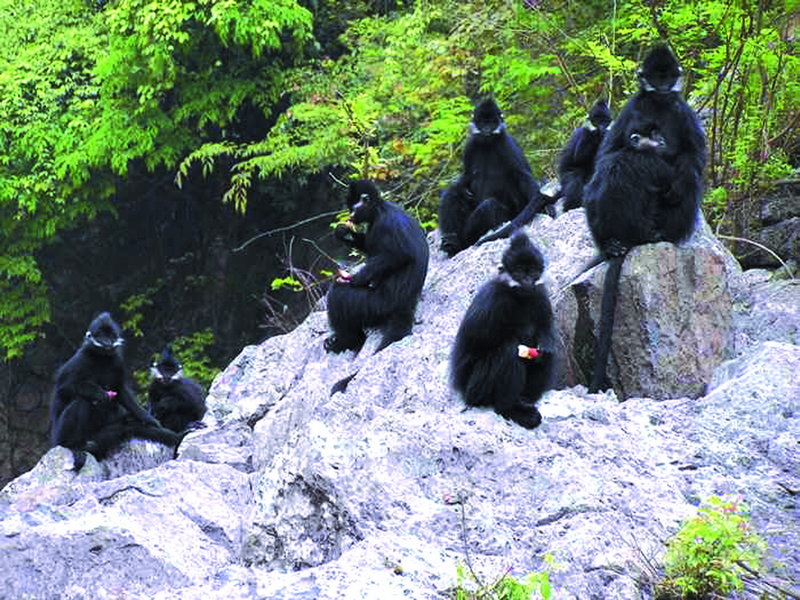 銅仁最美的10大景區(qū)：除了梵凈山之外，還有哪里值得一去？